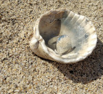 Foto: Inge Scherf 925/- Silberring, Ronde mit Hammerschlagmuster